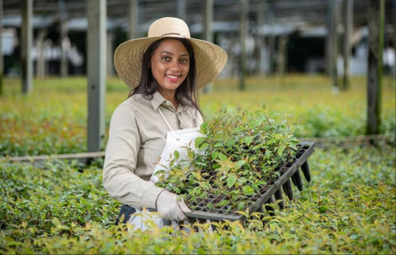 A CENIBRA cultiva florestas produtivas que convivem em harmonia com mais de 20 mil hectares de floresta nativa preservada, conectadas por corredores ecológicos que permitem a livre circulação da fauna.